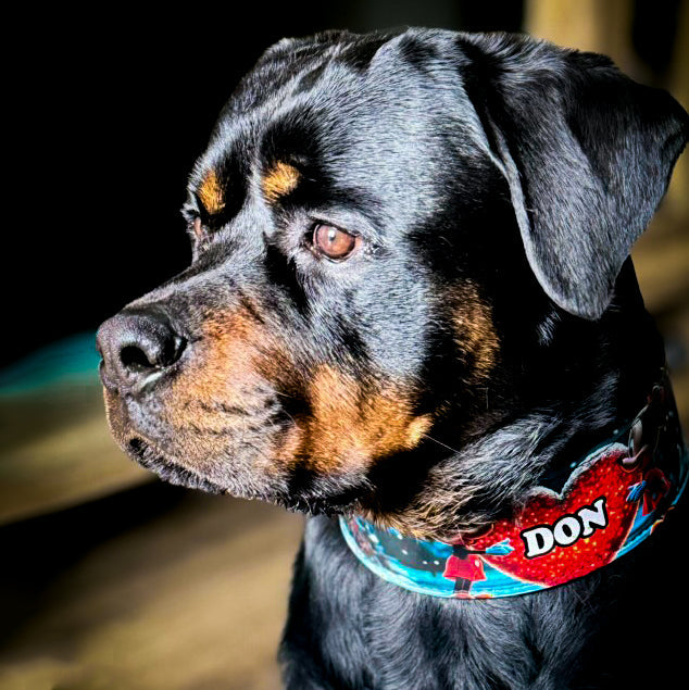 The M&M Limited SET-3