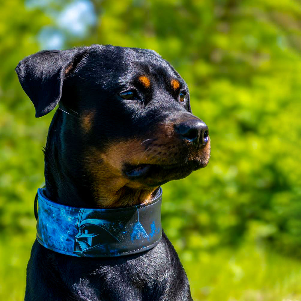 The Darth Force Limited Collar-3