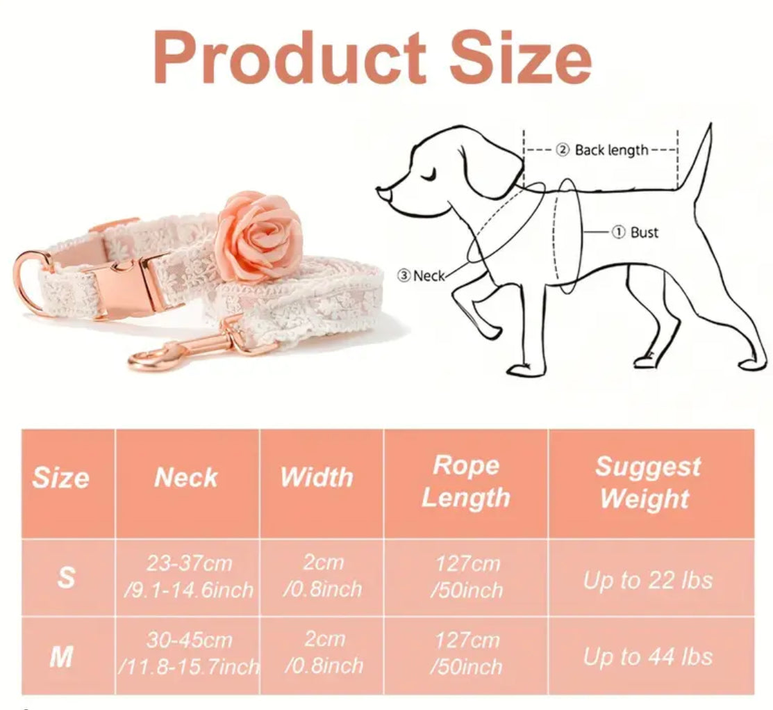 Enchanted Collar & Leash Set Doggy Haute Couture