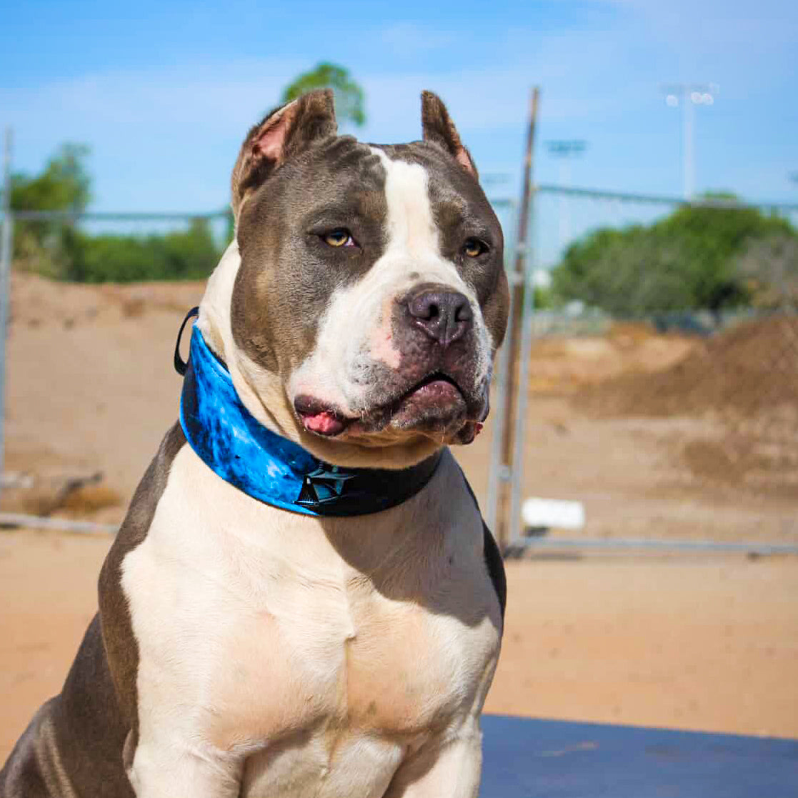 The Darth Force Limited Collar-2