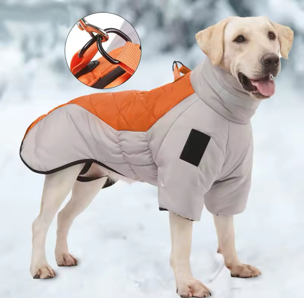 Winter Dog Jacket Doggy Haute Couture