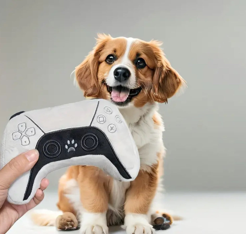 Pawstation Dog Toy | Interactive Remote Control Dog Toy Doggy Haute Couture