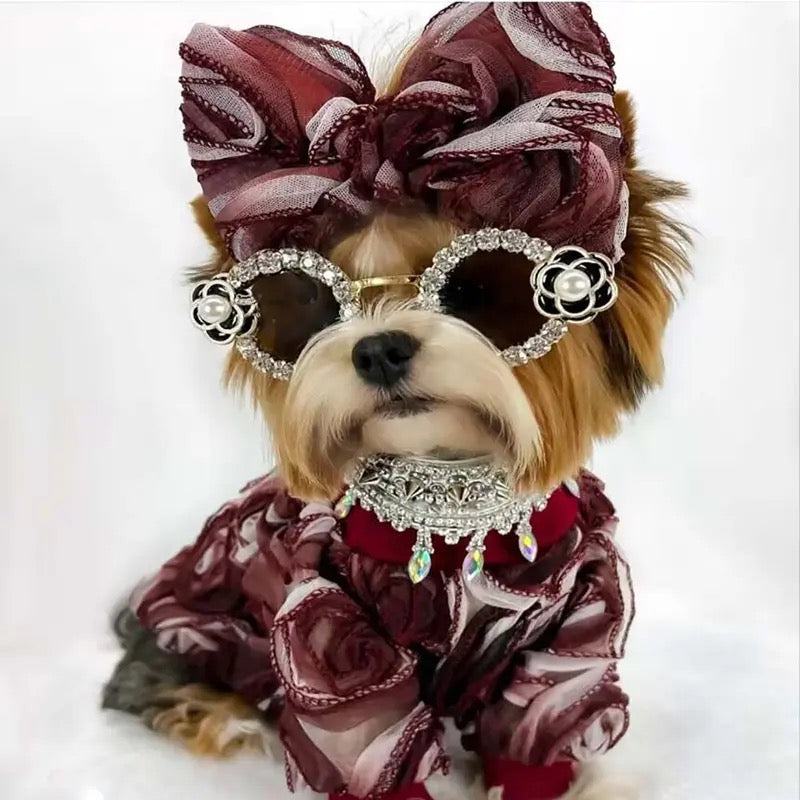 Coco Chewnel Rhinestone Dog Sunglasses | Pet Sunglasses Doggy Haute Couture