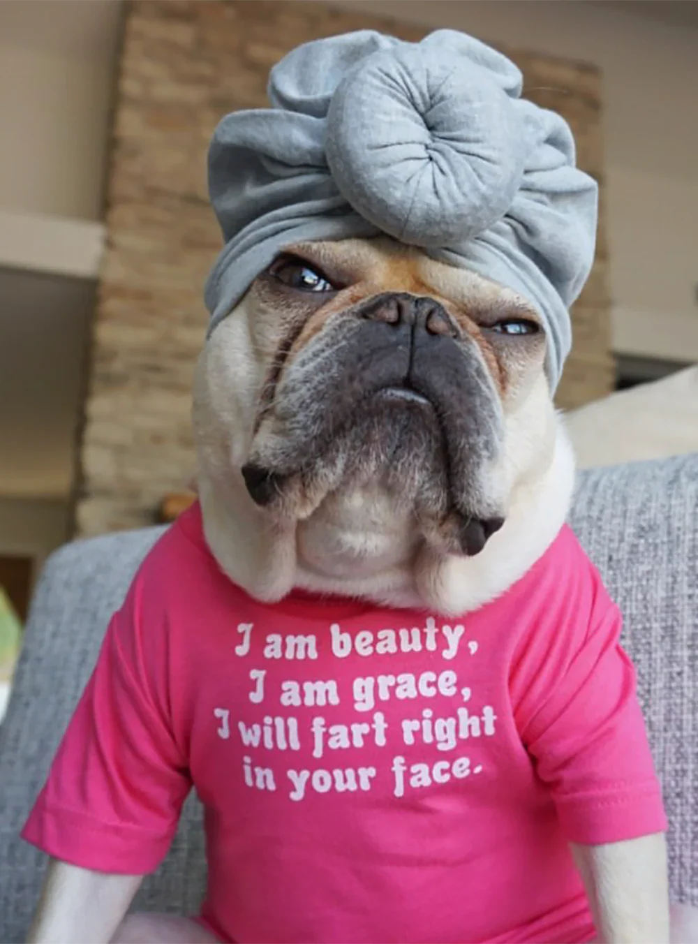 Funny Dog Tee Pink | I Am Beauty I Am Grace Dog Shirt Doggy Haute Couture