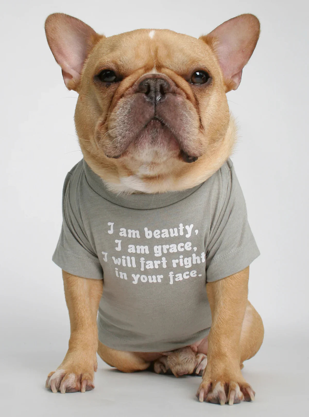 I Am Beauty I Am Grace I Will Fart Right In Your Face Dog Tee – Grey Doggy Haute Couture