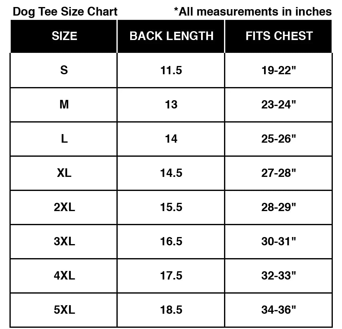 I Am Beauty I Am Grace I Will Fart Right In Your Face Dog Tee – Grey Doggy Haute Couture