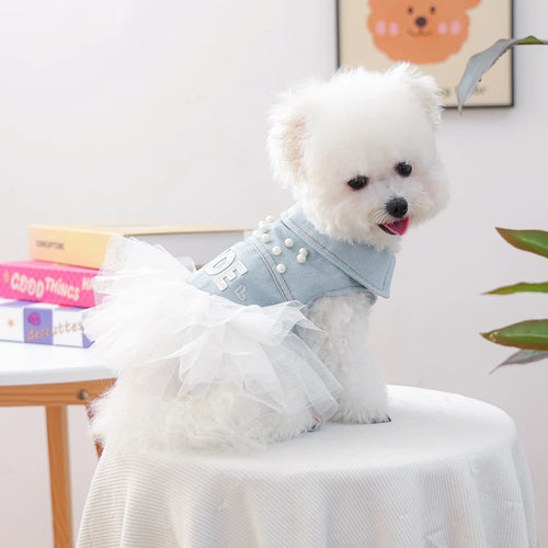 "Bride" Denim Dog Dress With Tutu