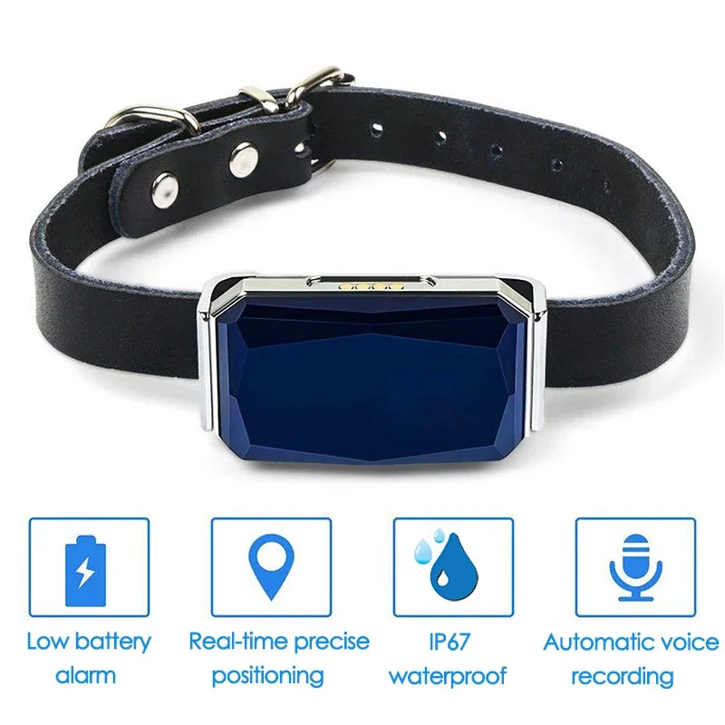 Waterproof Pet GPS Tracker System Raining Cats and Dogs