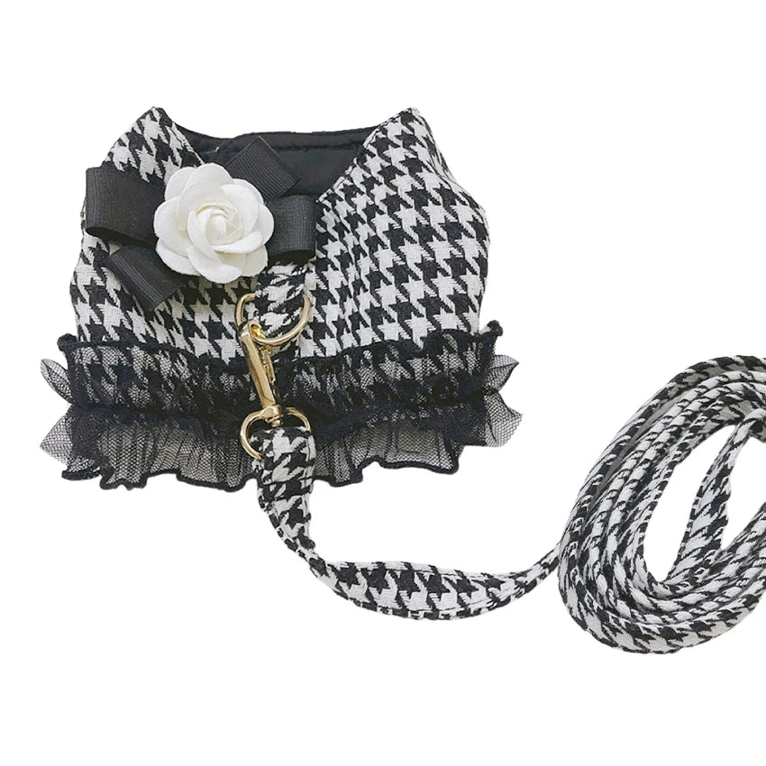 Designer Dog Harness and Leash Set