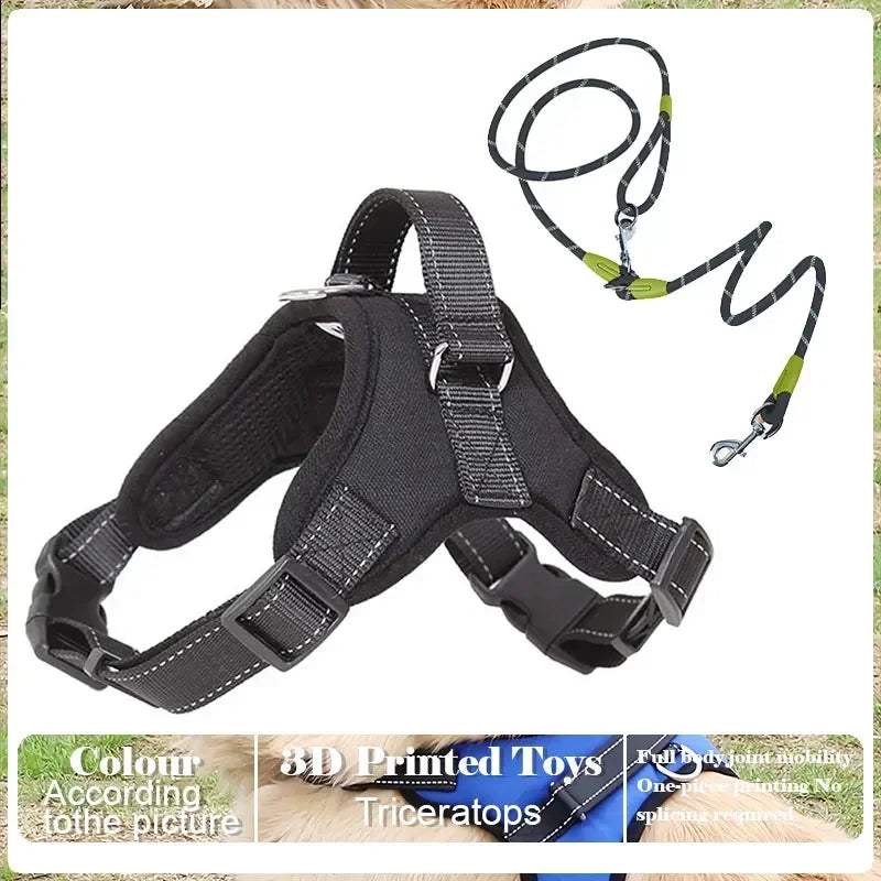 No Pull Adjustable Dog Harness And Leash Set Raining Cats and Dogs