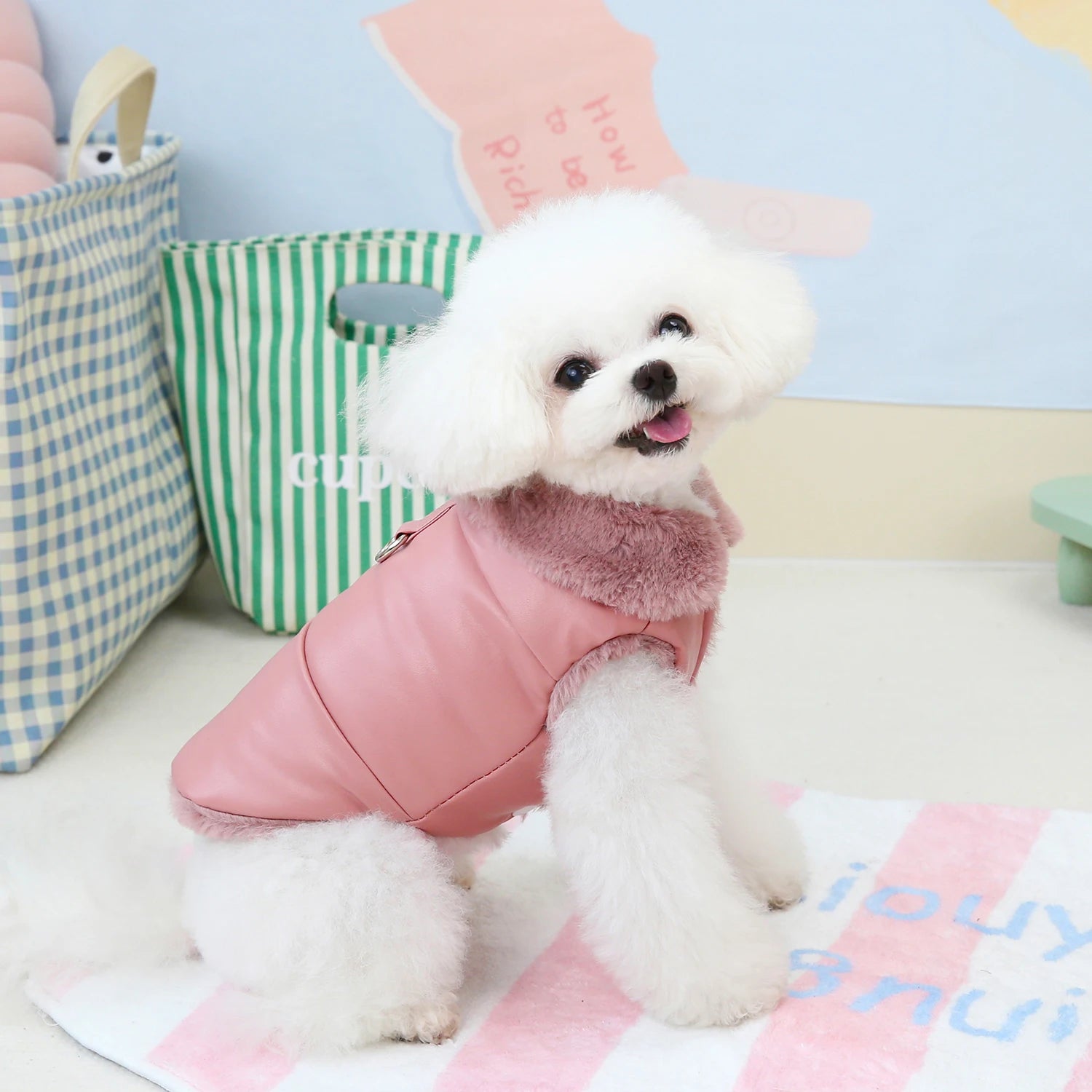 Winter Dog Jacket with Faux Fur Collar