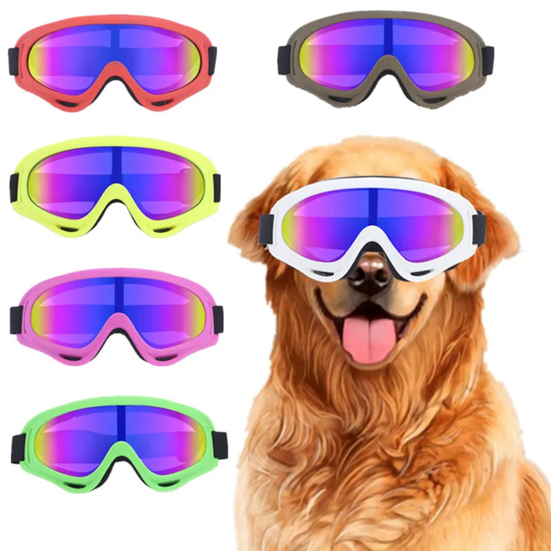 Dog Goggles for Wind, Snow, and UV Protection