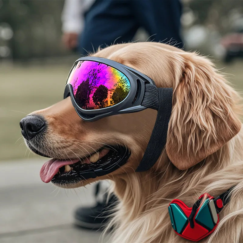 Adjustable Dog Goggles Raining Cats and Dogs
