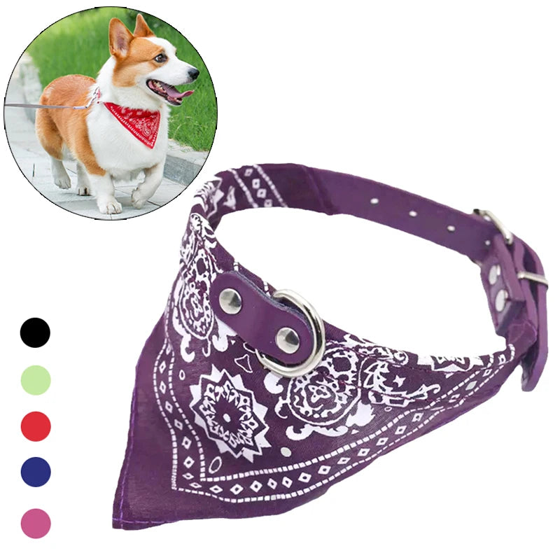 Adjustable Dog Collar with Built-in Bandana