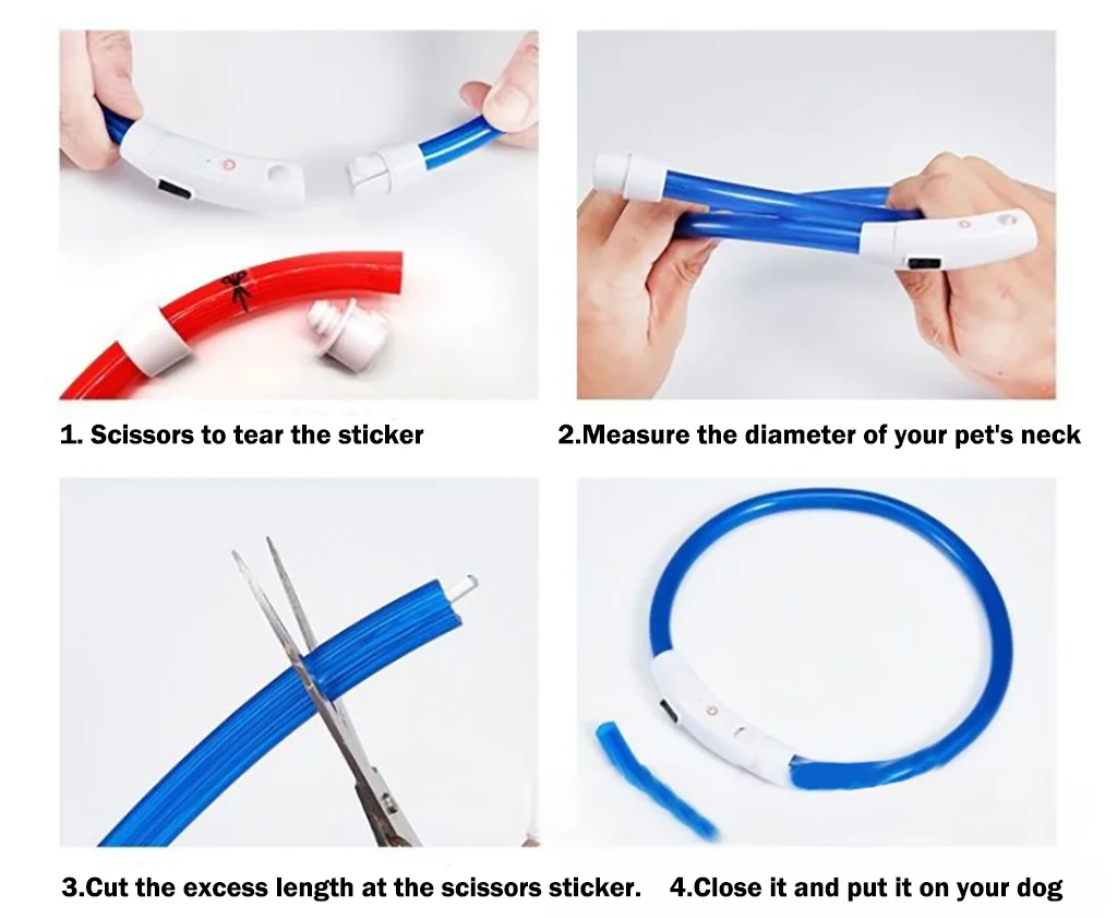 USB Rechargeable Light Up Dog Collar with LED