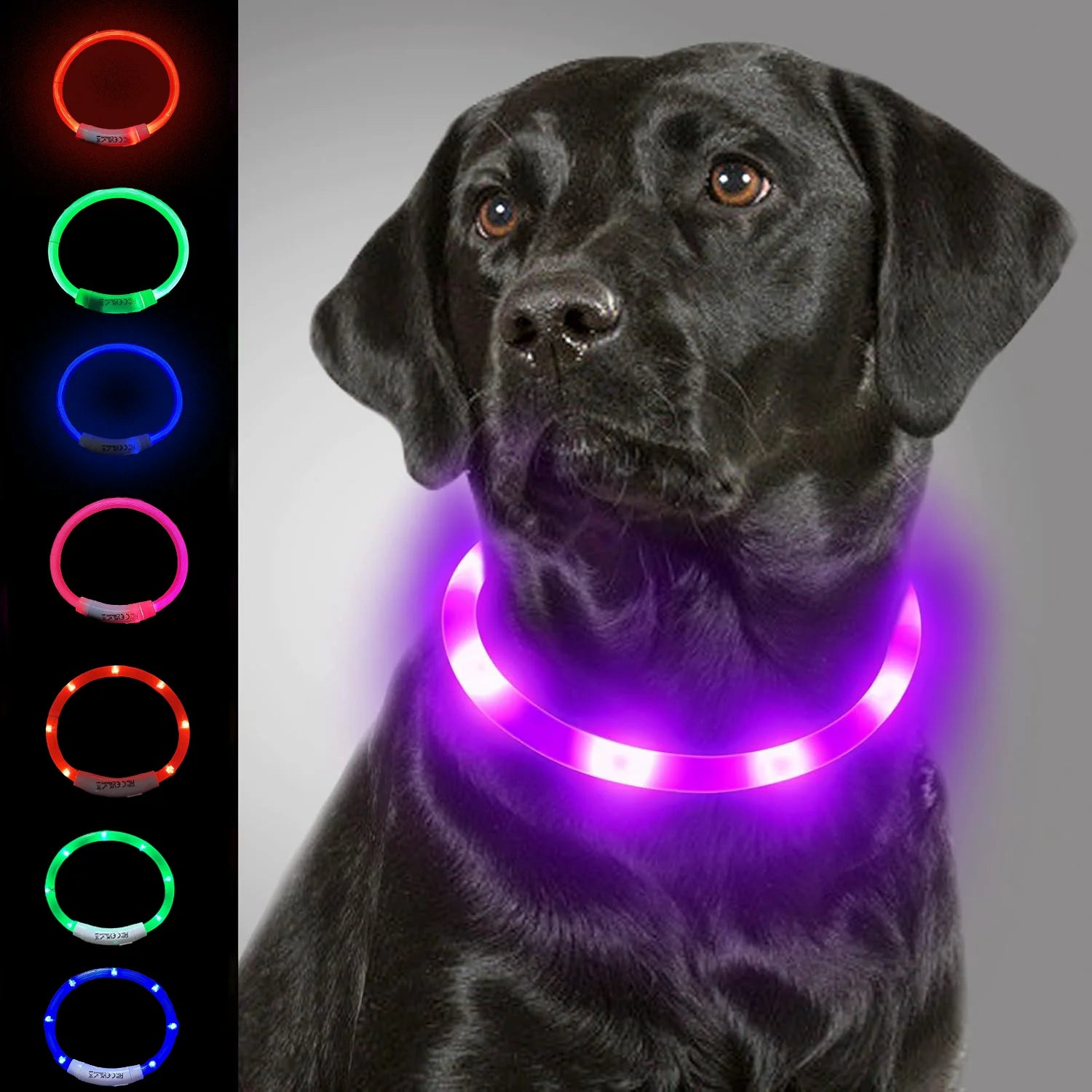 USB Rechargeable Light Up Dog Collar with LED