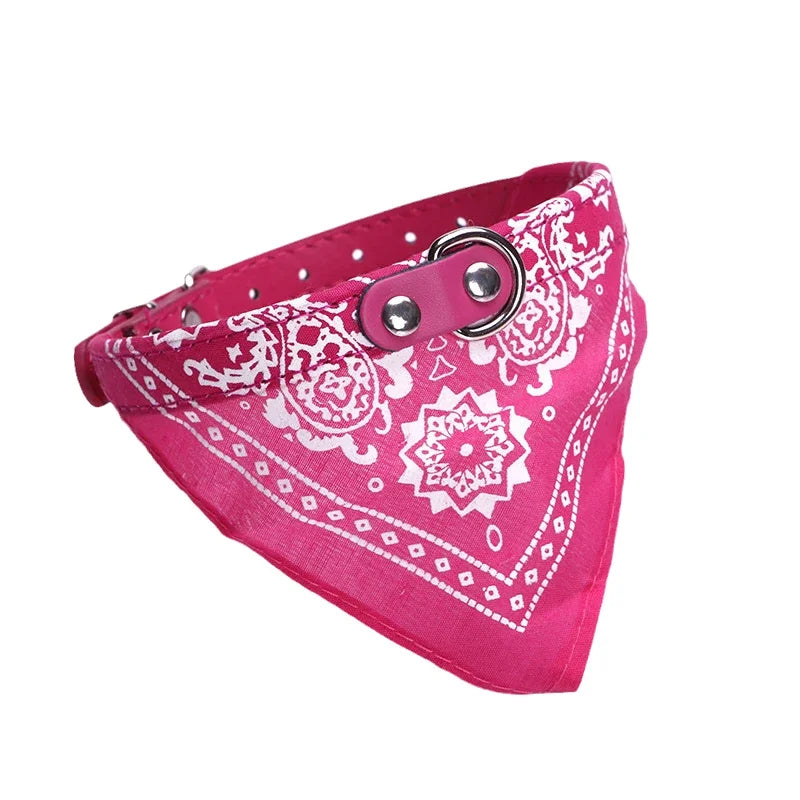 Adjustable Dog Collar with Built-in Bandana