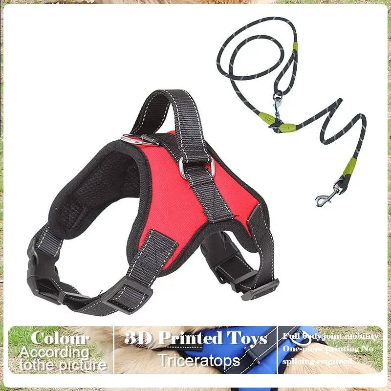 No Pull Adjustable Dog Harness And Leash Set Raining Cats and Dogs