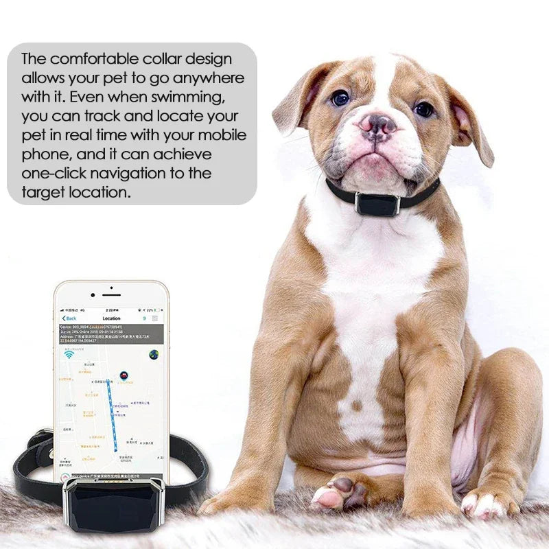 Waterproof Pet GPS Tracker System Raining Cats and Dogs