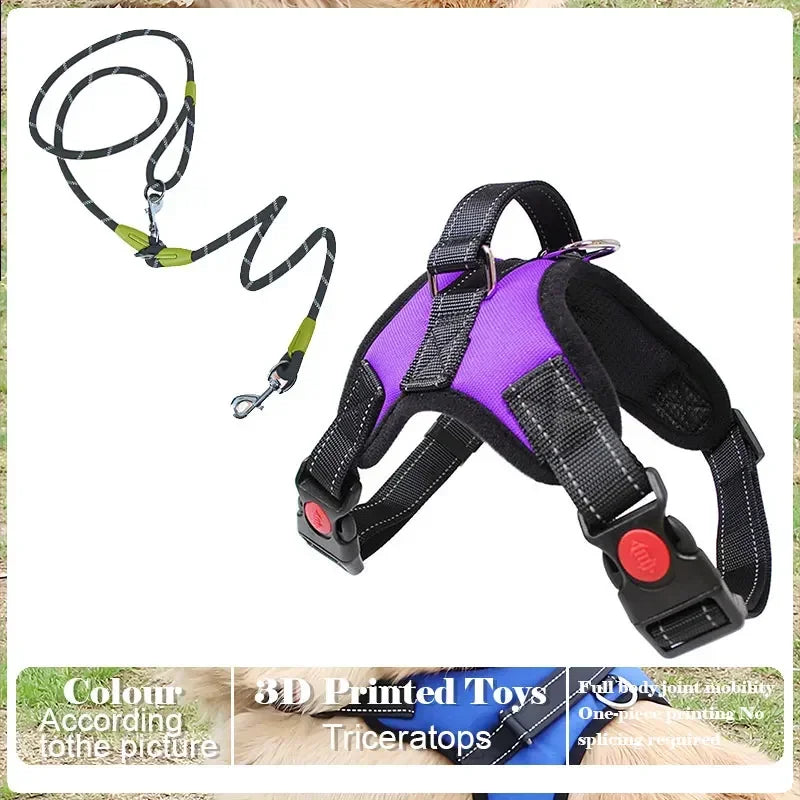 No Pull Adjustable Dog Harness And Leash Set Raining Cats and Dogs