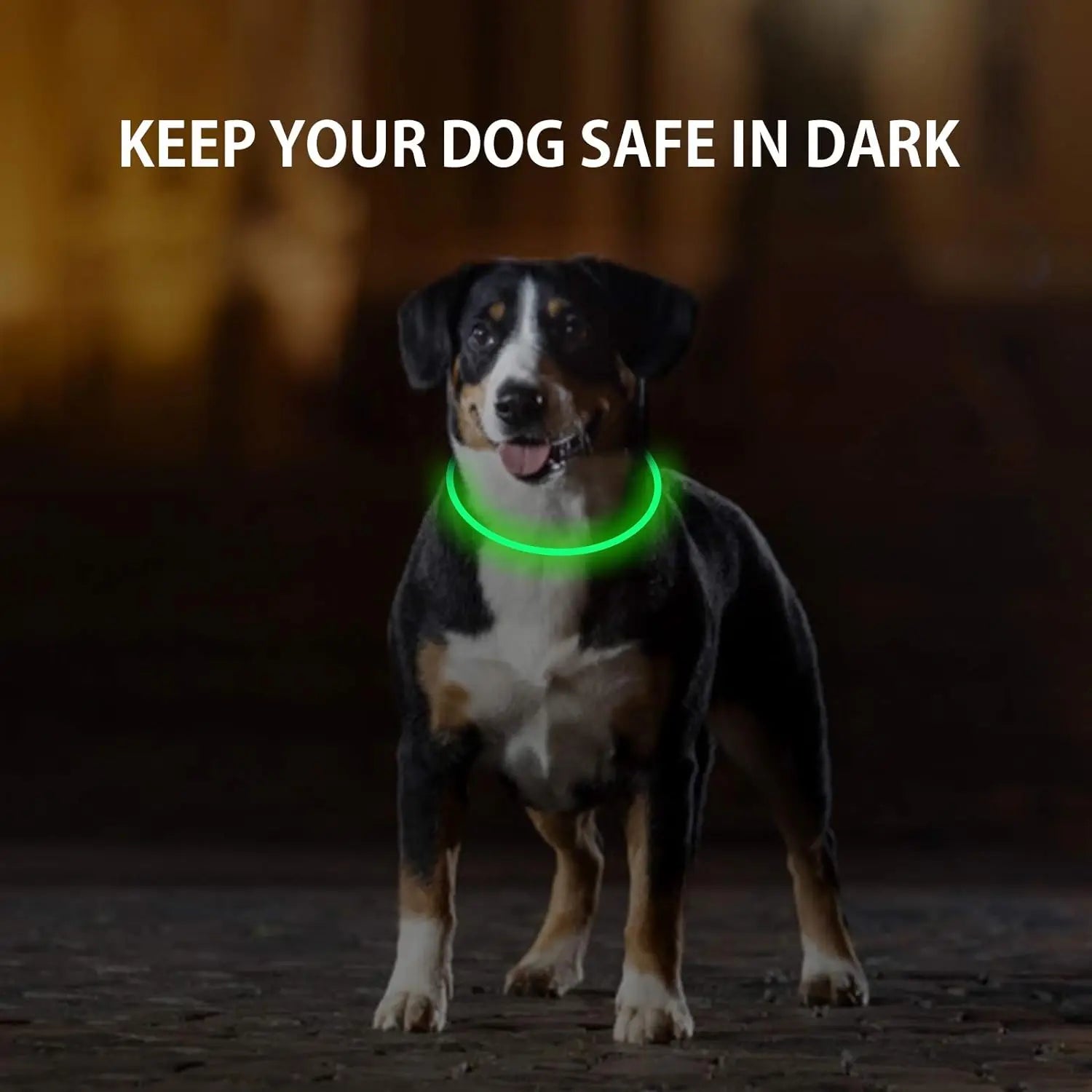 USB Rechargeable Light Up Dog Collar with LED