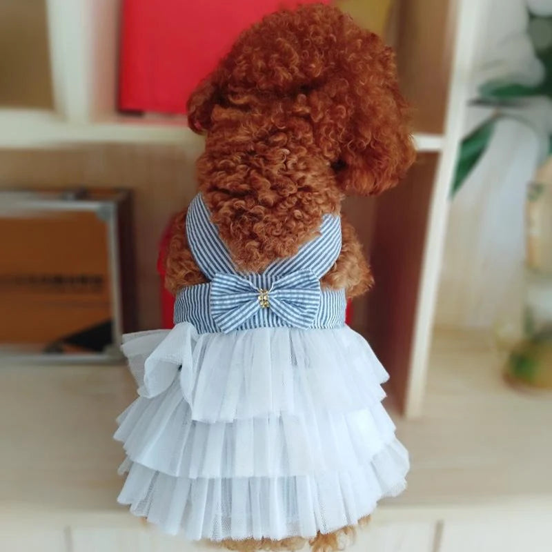 Frilly Dresses for Small Pets
