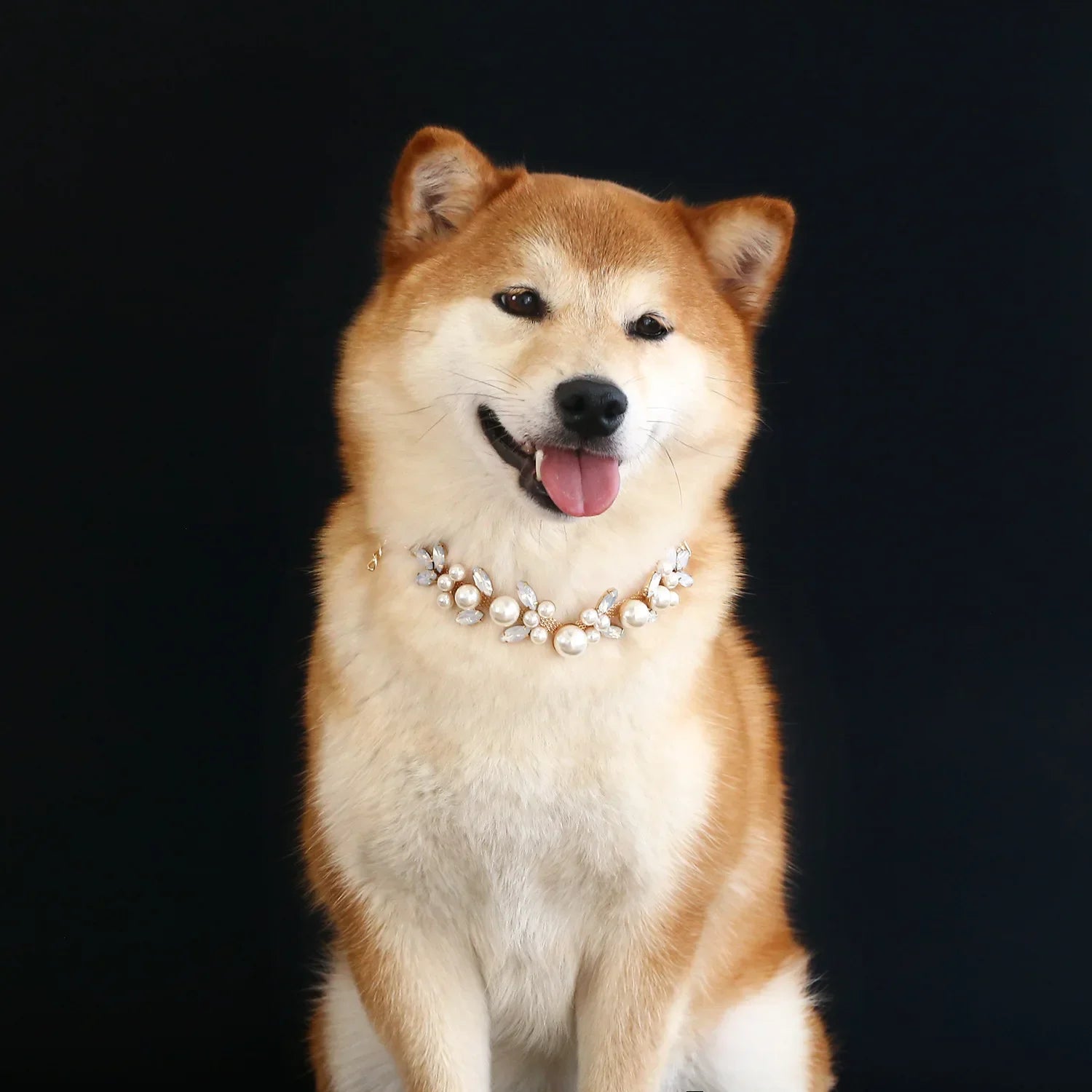 Pet Jeweled Necklace Collar with Rhinestones or Pearls