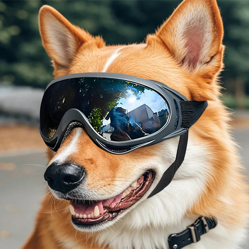 Adjustable Dog Goggles Raining Cats and Dogs