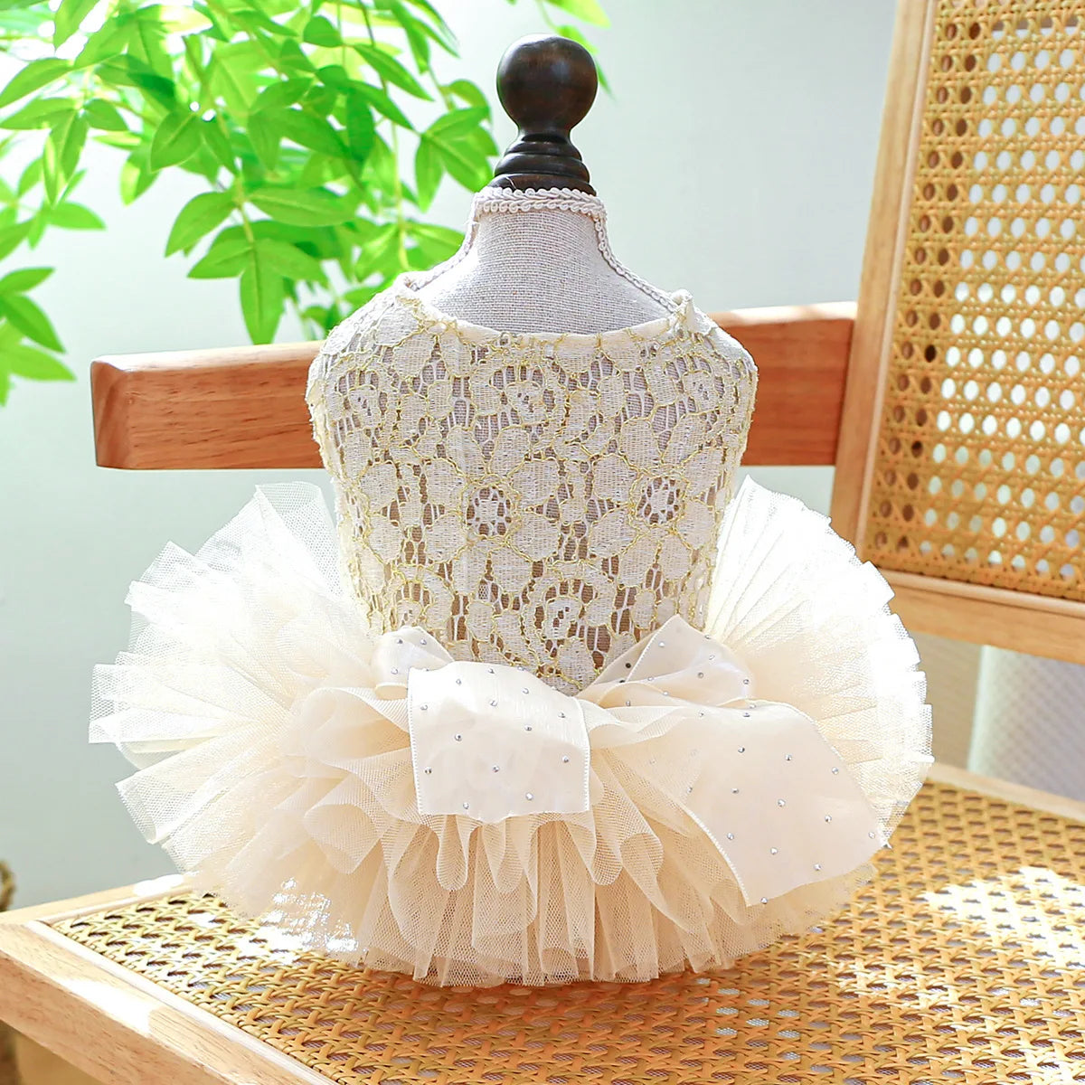 Elegant Chiffon Dress for Small Dogs