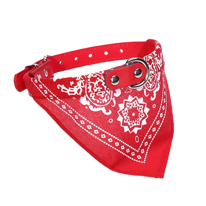 Adjustable Dog Collar with Built-in Bandana