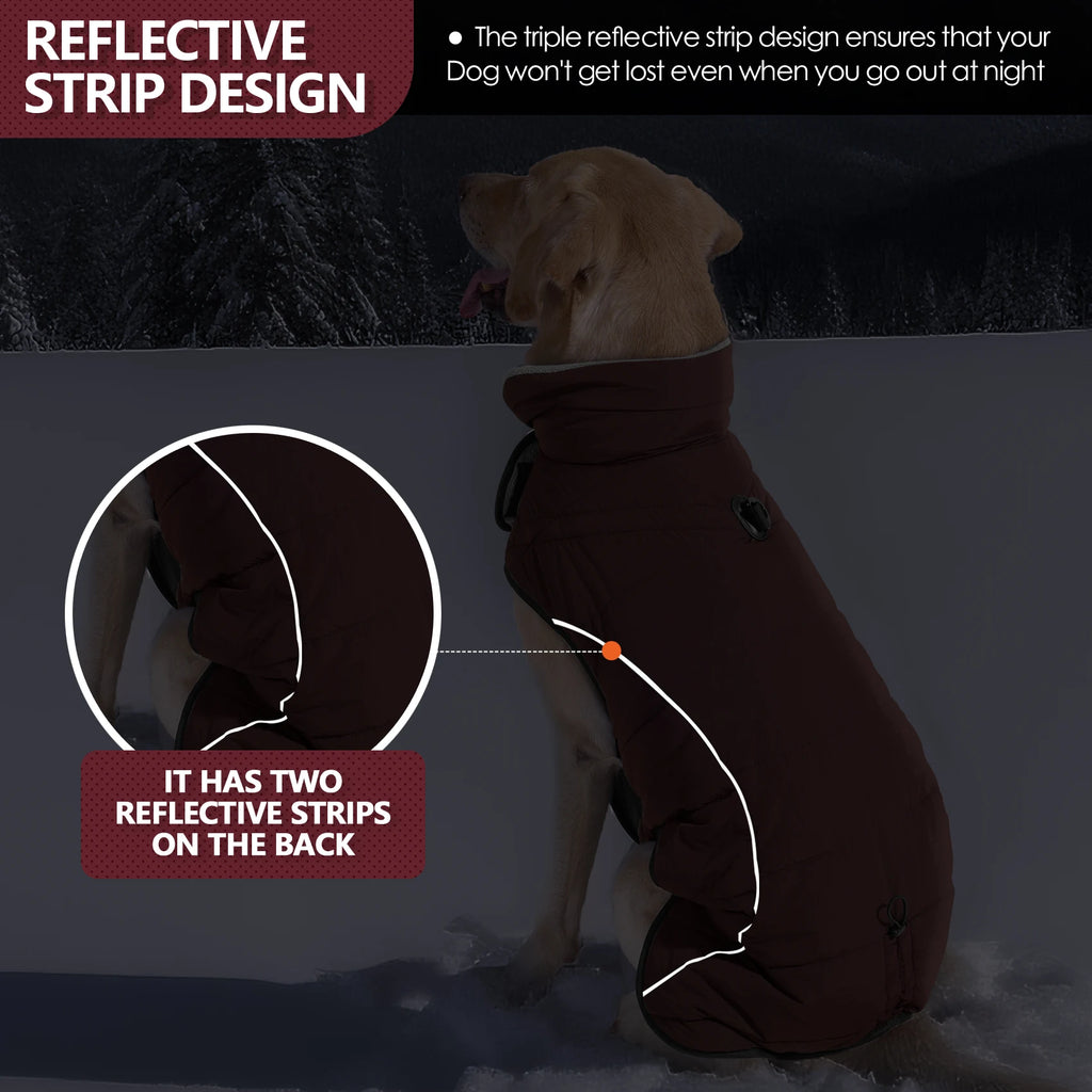 The FurEver Dry and Cozy Dog Coat