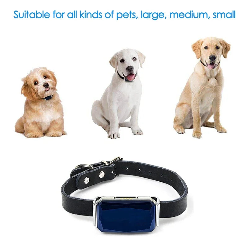 Waterproof Pet GPS Tracker System Raining Cats and Dogs