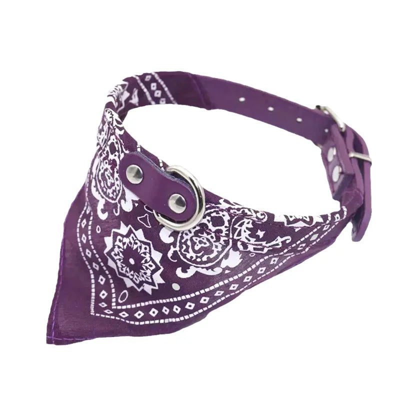 Adjustable Dog Collar with Built-in Bandana