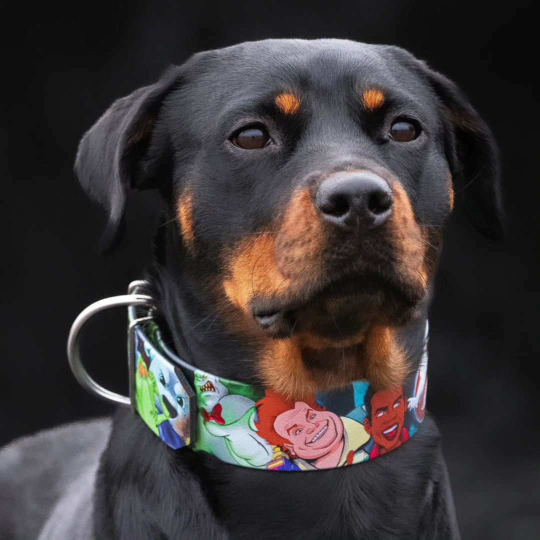 The “Ghosts” collar -LIMITED-2