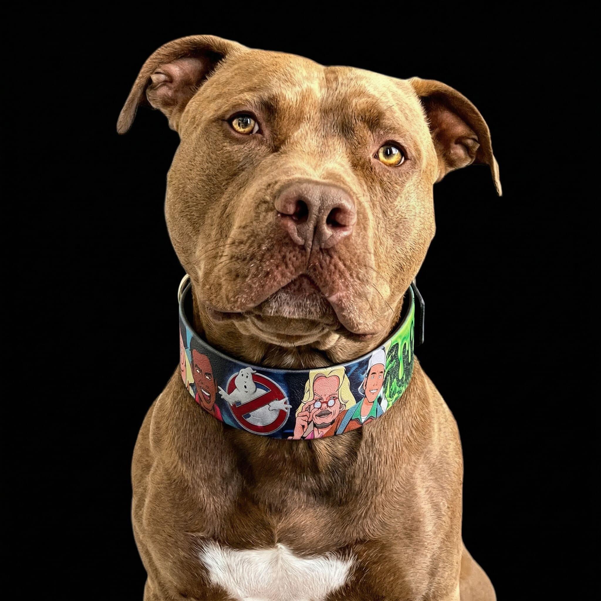 The “Ghosts” collar -LIMITED-3